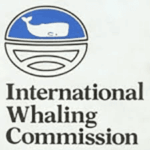 International Whaling Commission (IWC)