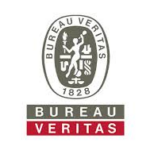 Recognized Organizations like Lloyd's Register, DNV, ClassNK, Bureau Veritas, ABS, etc. (Partners of Bahamas Maritime Authority)